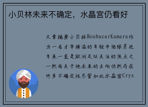 小贝林未来不确定,水晶宫仍看好 小贝林未来不确定,水晶宫仍看好